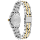 LAD ECO WR100 SST BRAC BLUE