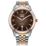 MEN ECO WR100 SSTRG BRAC BRWN
